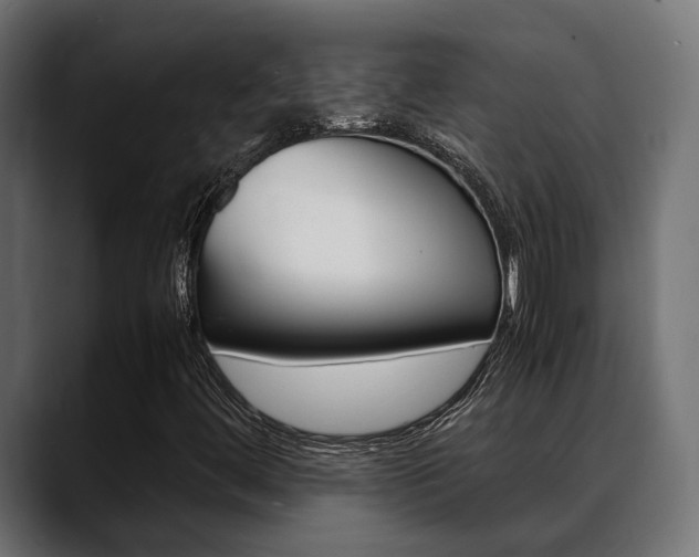 X0000088661444200705250952