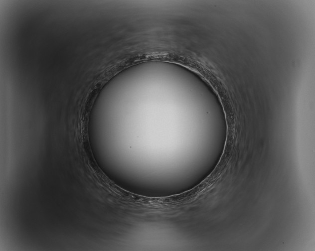 X0000088661445200705250952