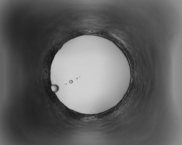 X0000088661447200705250952
