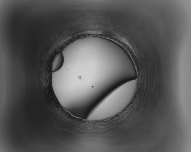 X0000088661448200705250952