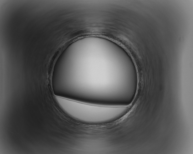 X0000088661449200705250952