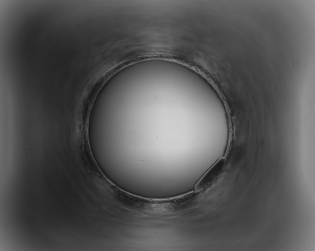 X0000088661453200705250952