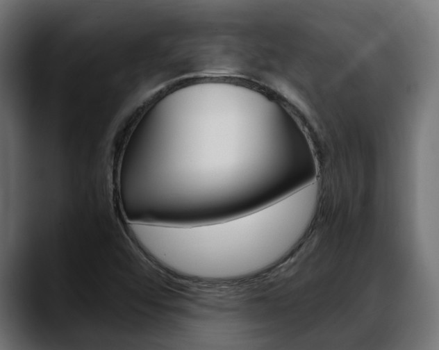 X0000088661456200705250952