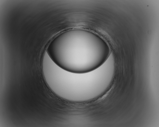 X0000088661457200705250952