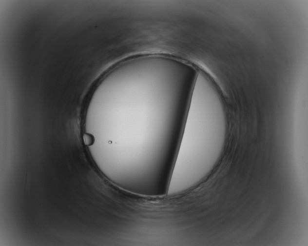 X0000088661460200705250952