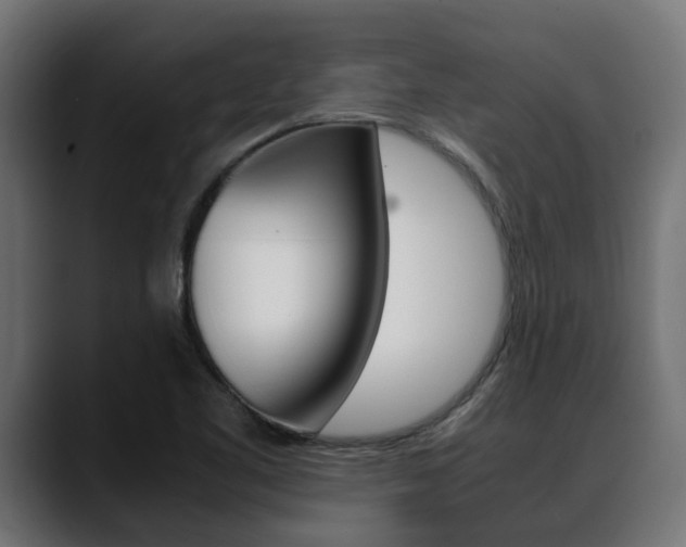 X0000088661461200705250952