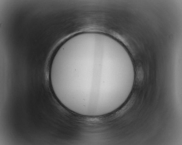 X0000088661462200705250952
