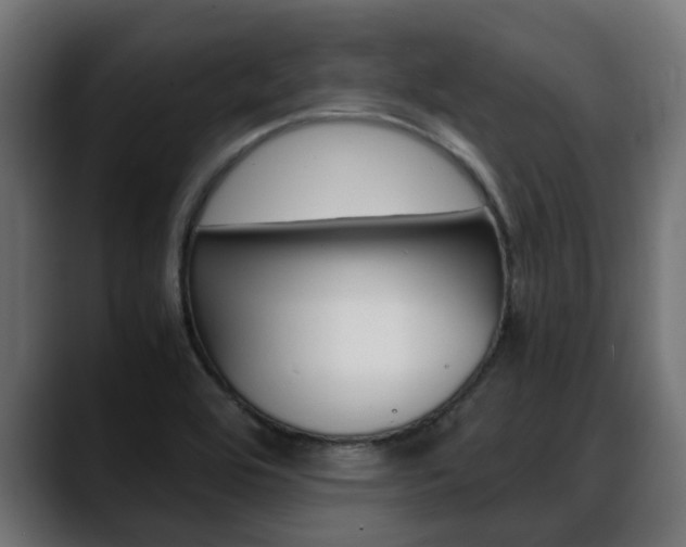 X0000088661464200705250952