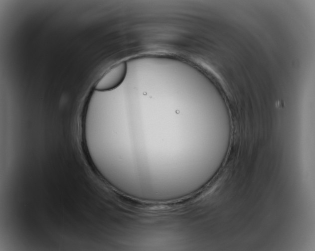 X0000088661467200705250952