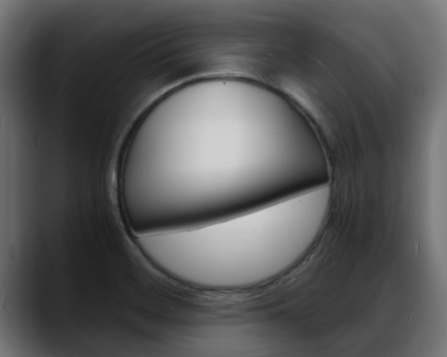 X0000088661468200705250952