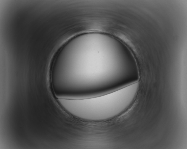X0000088661469200705250952