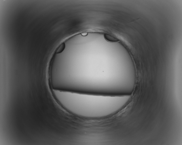 X0000088661471200705250952