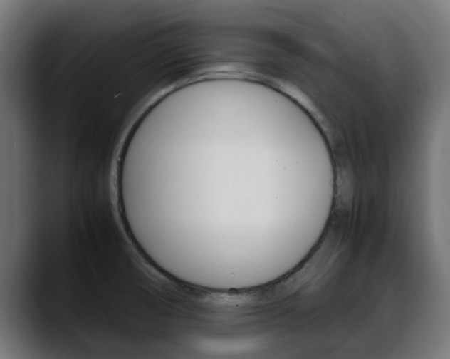 X0000088661474200705250952