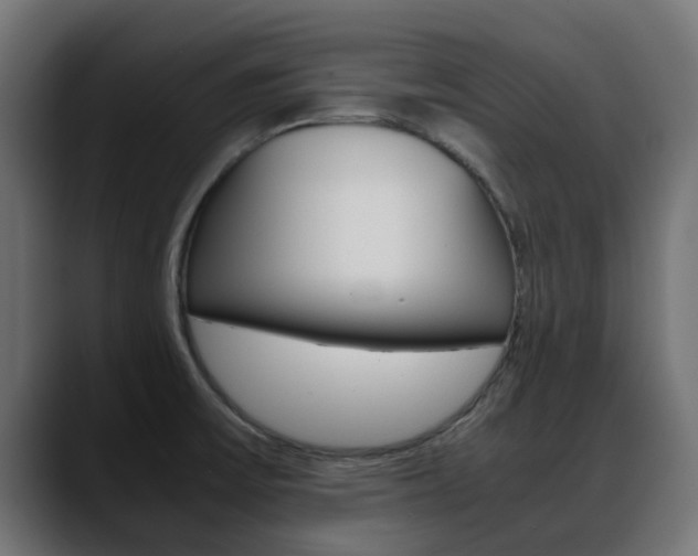 X0000088661475200705250952