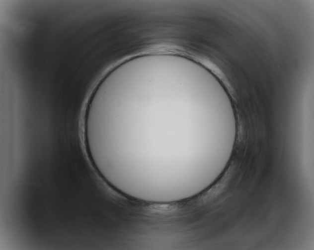 X0000088661478200705250952