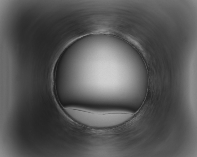 X0000088661479200705250952