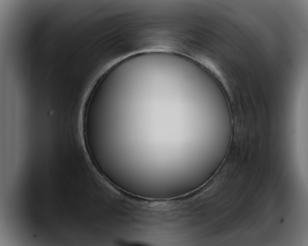 X0000088661480200705250952