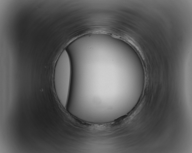 X0000088661481200705250952
