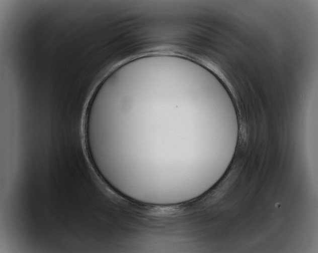 X0000088661482200705250952