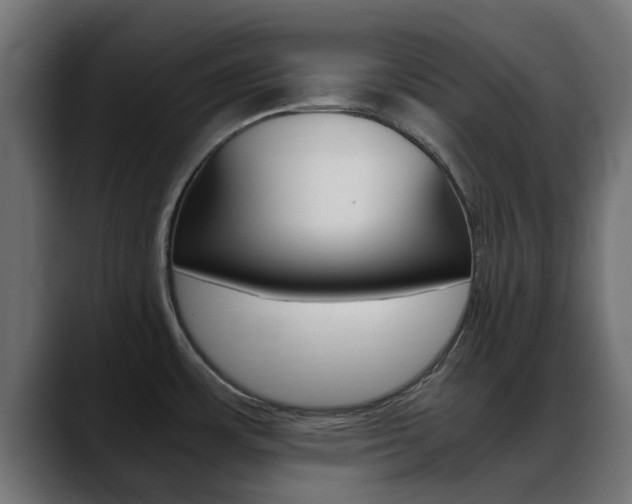 X0000088661483200705250952