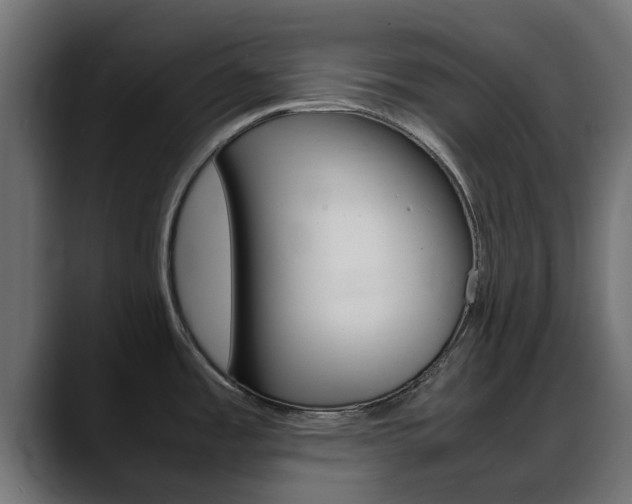 X0000088661485200705250952