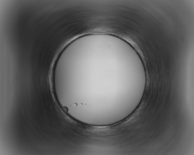 X0000088661486200705250952