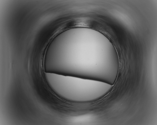 X0000088661487200705250952