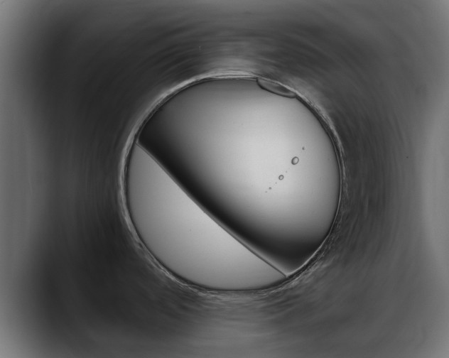 X0000088661488200705250952