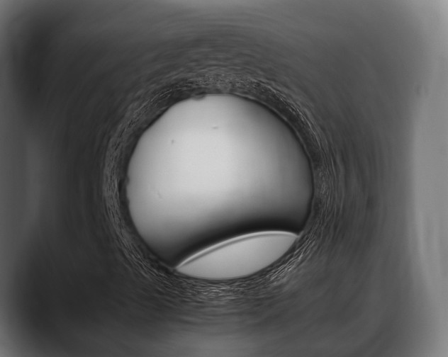 X0000088661489200705250951