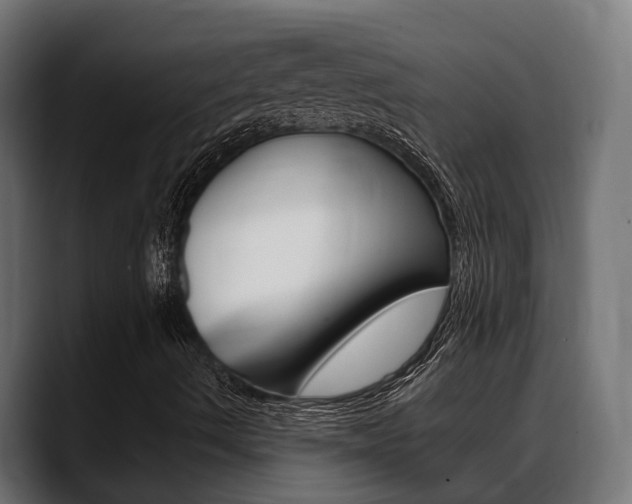 X0000088661490200705250951