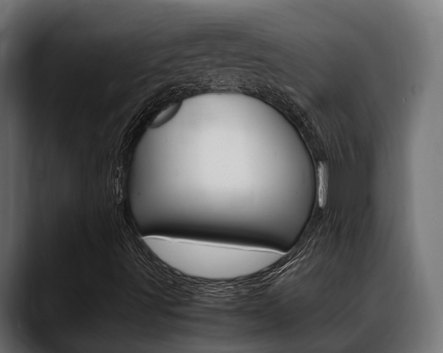 X0000088661491200705250951