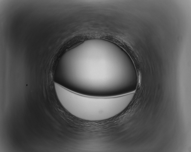 X0000088661492200705250951