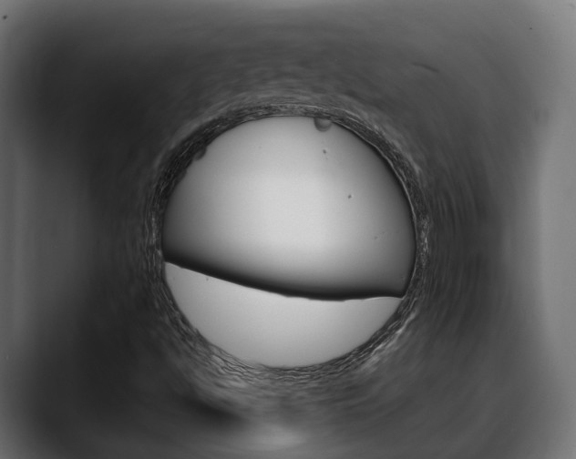 X0000088661494200705250951