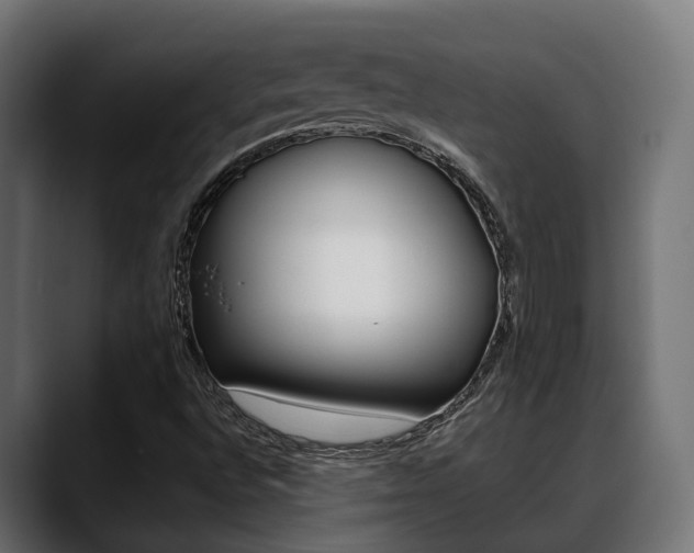 X0000088661496200705250951