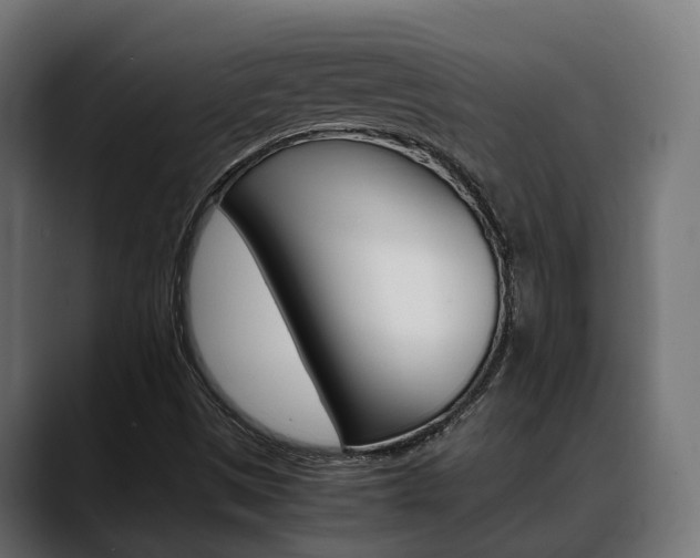 X0000088661497200705250951
