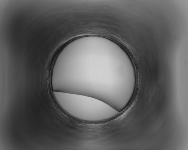 X0000088661498200705250951
