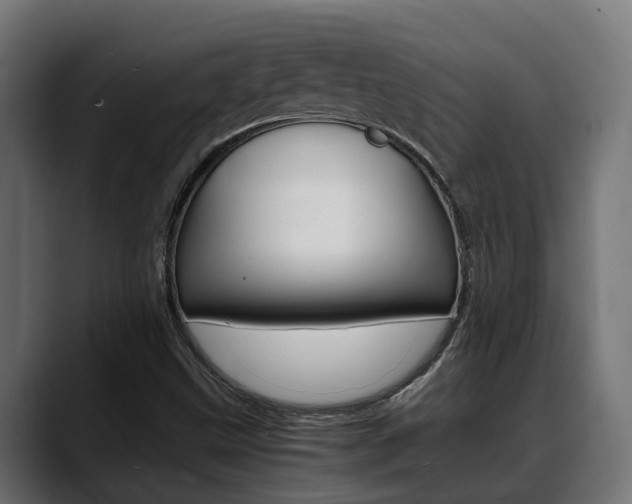X0000088661499200705250951