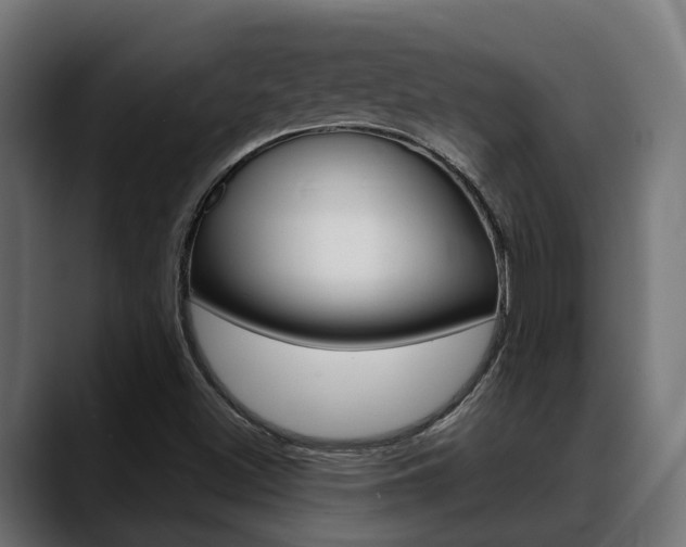 X0000088661500200705250951