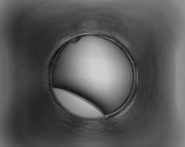 X0000088661501200705250951