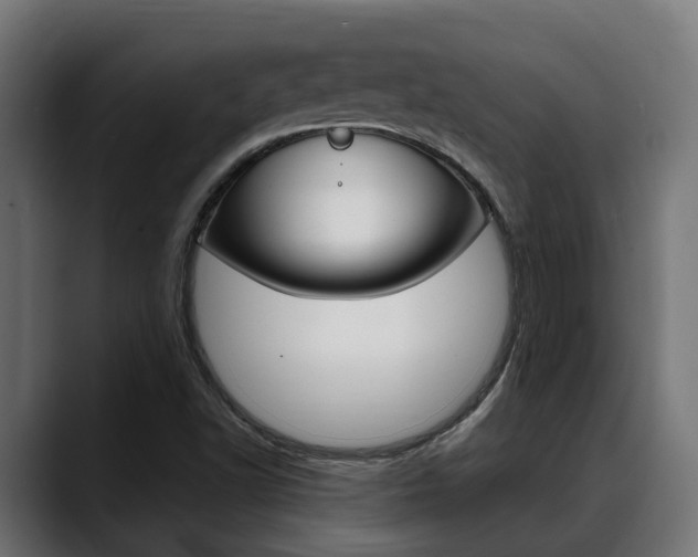 X0000088661502200705250951