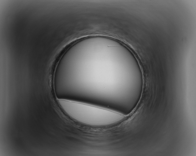 X0000088661503200705250951