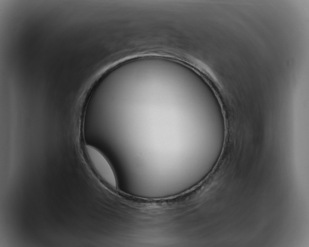 X0000088661504200705250951