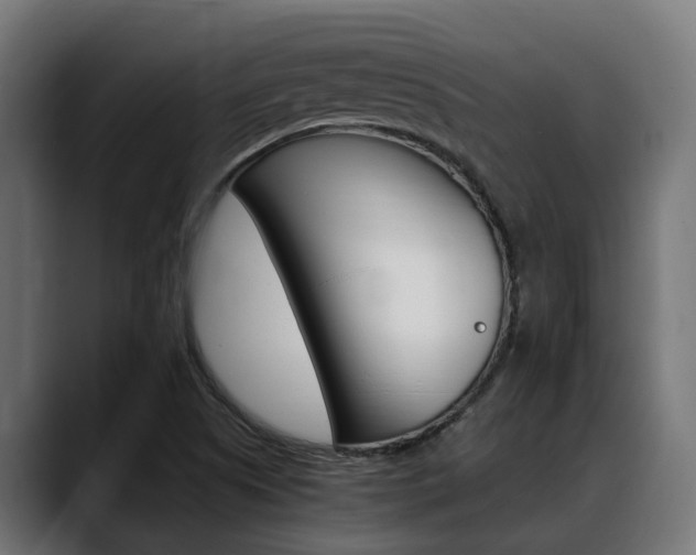 X0000088661505200705250951