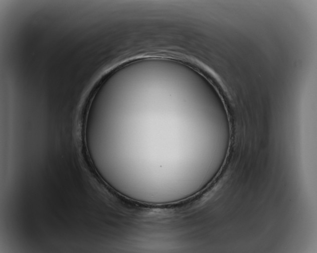 X0000088661506200705250951