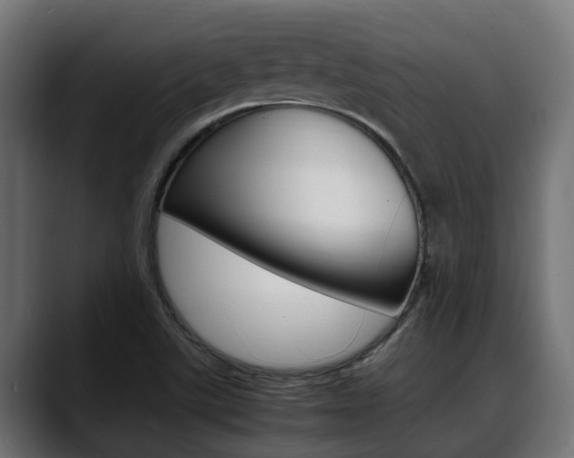 X0000088661507200705250951