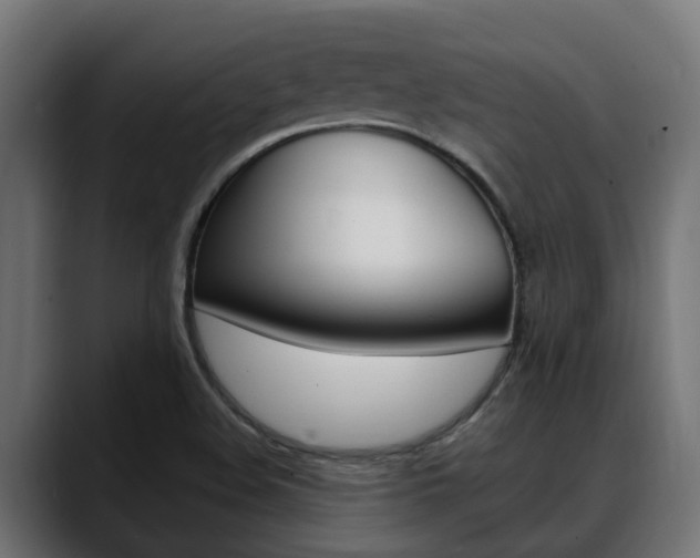 X0000088661508200705250951