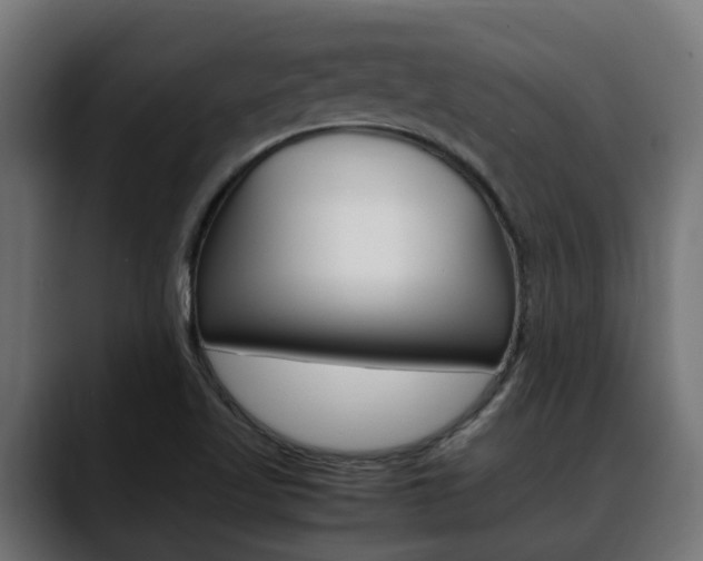 X0000088661509200705250951