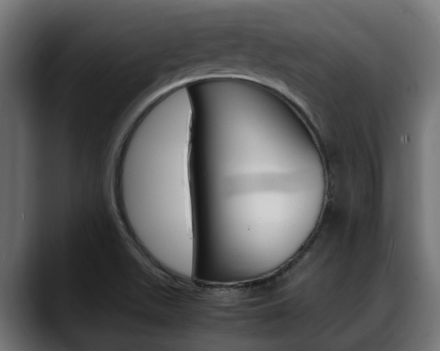 X0000088661511200705250951
