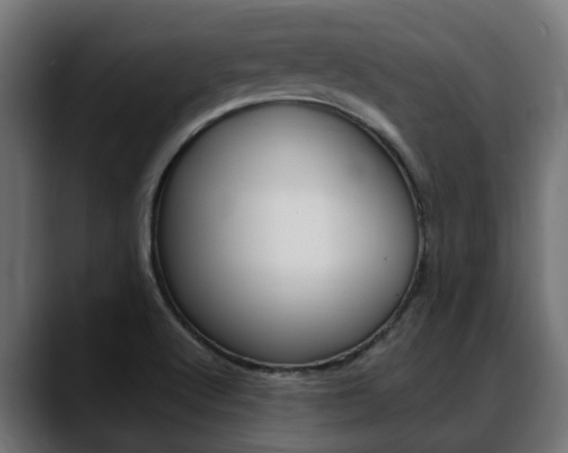 X0000088661512200705250951