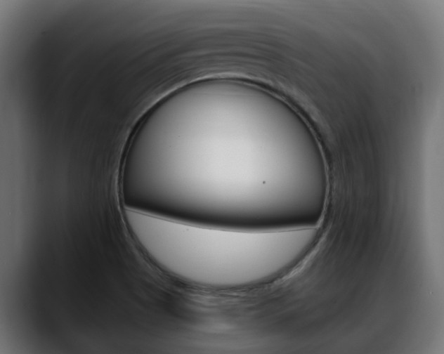 X0000088661513200705250951
